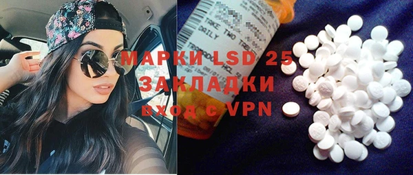 ГАЛЛЮЦИНОГЕННЫЕ ГРИБЫ Алексин