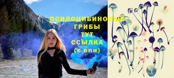 ГАЛЛЮЦИНОГЕННЫЕ ГРИБЫ Алексин