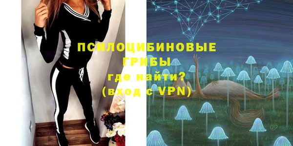 ГАЛЛЮЦИНОГЕННЫЕ ГРИБЫ Алексин
