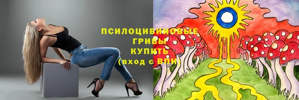 ГАЛЛЮЦИНОГЕННЫЕ ГРИБЫ Алексин